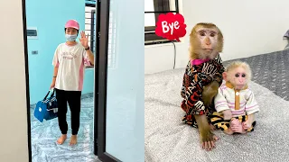 Download Monkey Kaka and Monkey Mit said goodbye to mom so touchingly MP3