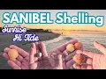 Sanibel SUNRISE High Tide Shelling WAS AMAZING Those bugs tho