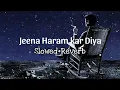 Jeena Haraam [Slowed + Reverb] | Vishal Mishra, Shilpa Rao | Crakk Movie | @Alonesoullyrics