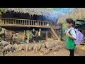 Download Lagu Thanh helped the shop owner clean the small shack, Linh Dan went back to school after many days off.
