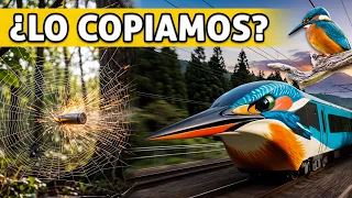 ANIMALES CON TECNOLOGÍAS QUE LA CIENCIA COPIÓ