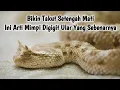 Download Lagu 9 ARTI MIMPI DIGIGIT ULAR MENURUT PRIMBON JAWA
