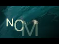 No_Copyright_Music_(NCM)knnow_hotinfoall_2023