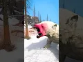 Download Lagu Using Bear Spray On A Polar Bear 😨