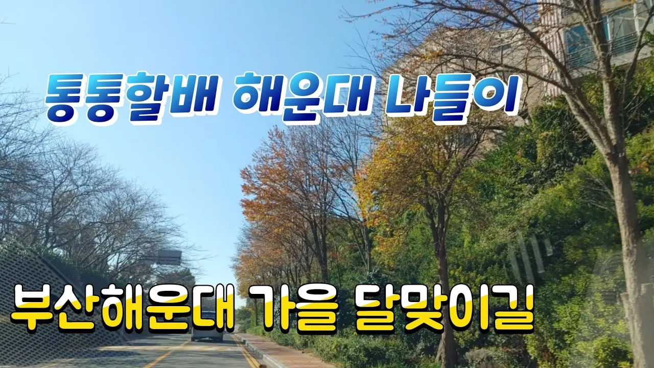 #부산해운대#가을달맞이길#통통할배#나들이#해운대달맞이길 サムネイル