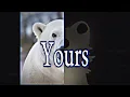 2026 polar bear...