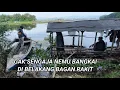 Download Lagu SUMPAH BAUNYA MENYENGAT!! ditemukan  saat lagi bersihin sampah sebelum mancing ikan || bangkai ikan