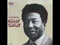 Goin' Down Slow- Ft. Howlin' Wolf, Muddy Waters, and Bo Diddley