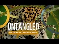 Download Lagu Untangled: Wildlife in the Climate Crisis