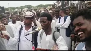 Tigre Music Ibrahim Nory ابراهيم نوراي اغنية تودرف 