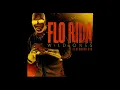 Flo Rida - Wild Ones ft. Sia (Official Instrumental)