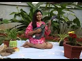 Download Lagu TU TU HAI WAHI | Mandolin Instrumental