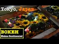 Download Lagu [4K BOKEH]Photo Walk for Natsu-Moude at Asakusa Shrine in Tokyo, Sunday night