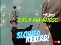Abeer Nehme – Bala Ma Nhess (Slowed + Reverb) | بلا ما نحس | Lo-fi Chill Edit
