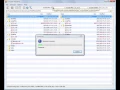 oXygen XML Diff and Merge - version 13