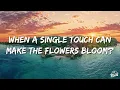 Marshmello, Ellie Goulding, AVAION - Save My Love (Lyrics)