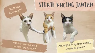 Download Steril Kucing Jantan (Persiapan, Proses, Perawatan Pasca Steril, dan Manfaat) - Budak Kucing MP3