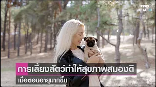 การเลี้ยงสัตว์เลี้ยงเป็นเวลาอย่างน้อย 5 ปี จะมีผลต่อสมองของผู้สูงอายุอย่างไร