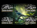 Beautiful Surah Yaseen (Yasin) | Surah Rahman | Surah Waqiah | Surah Mulk |