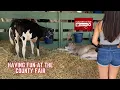 NO SUMMER IS COMPLETE WITHOUT A TRIP TO THE COUNTY FAIR - Full Kane County Fair Tour