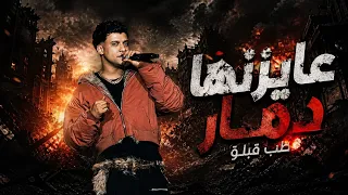 عايزه دمار طب قبلو  في الواقع كلو ده قال جالا  عصام صاصا الكروان  توزيع كيمو الديب  دندنها