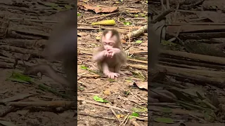 Mother Leaves Child To Be Bitten By Ants 