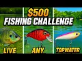 500 FISHING CHALLENGE Live Bait vs Lures vs Topwater