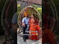 Download Lagu happy wedding anniversary my dear hubby #punjabiboutique #songpunjabi #dance #punjabicollection