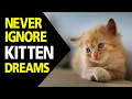 What does Kitten in dream meaning Dreaming of Kittens Kitten dream interpretation