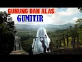 Lagu FAKTA MISTERI!!GUNUNG DAN ALAS GUMITIR
