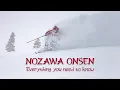 Nozawa Onsen Ski Resort Review
