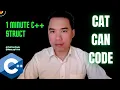 1 Minute C Struct Cat Can Code