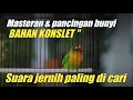 Download Lagu Masteran untuk bahan konslet \u0026 pancingan bunyi - Lovebird DJAROT Banjarnegara