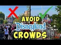 Least Crowded Times to Visit Disneyland When to Visit in 2024
