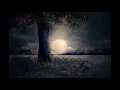 Prinz Pi  feat. Philipp Dittberner - 1,40m