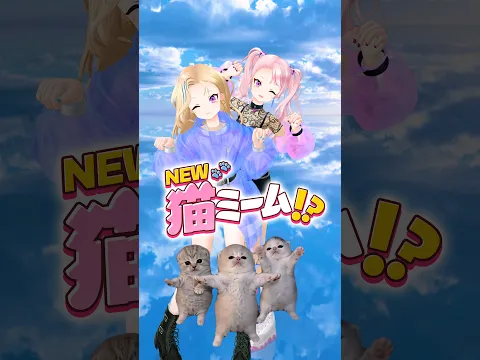 NEW猫ミーム⁉️ #HIMEHINA #ヒメヒナ