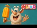 Download Lagu ⭕ Booba 24/7 LIVE Stream – Nonstop Cartoon Fun
