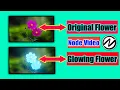 Glowing Flower with Changing Colour Node Tutorial