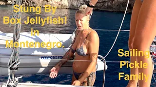 Episode 153 – Stung by a Box Jellyfish while Sailing! Heaved to, Swimming in Caves!
