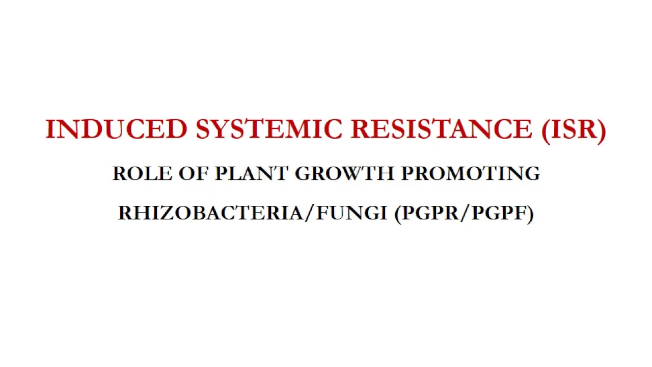 Induced Systemic Resistance (ISR)