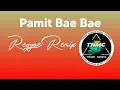 Lagu Pamit Bae Bae || Reggae Remix @Thiano_nangga_RMX