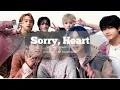 Sorry, Heart - NCT Dream (karaoke with backtrack) lyrics / Rom