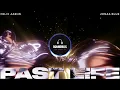 Felix Jaehn feat. Jonas Blue - Past Life