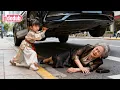 Download Lagu Bayi comel turun gunung selamatkan nenek, terjumpa CEO ayahnya, dapat kasih sayang seisi keluarga!