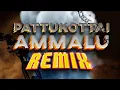 Download Lagu pattukottai ammalu dj remix song | tamil remix songs | dj remix songs | bagheera movie song |djremix