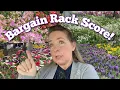 Bargain Plants at Lowes Garden Center for Spring Containers
