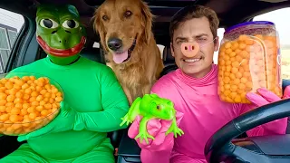 Police Surprises Frog, Pig & Puppy in Car Ride Chase