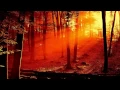 Download Lagu Ludovico Einaudi - Divenire [HD]