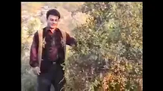 الشلوف الراقي دندنها