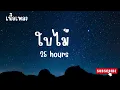 ใบไม้ - 25 hours